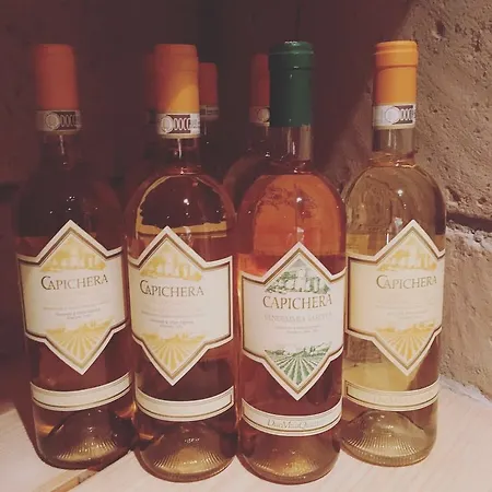 호텔 Punta Campanella & 마사루브렌세